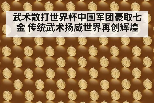 武术散打世界杯中国军团豪取七金 传统武术扬威世界再创辉煌